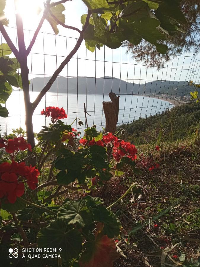 Cozy Apartment Few Mins From Beach Corfu Айос-Єорйос-Пагон Екстер'єр фото